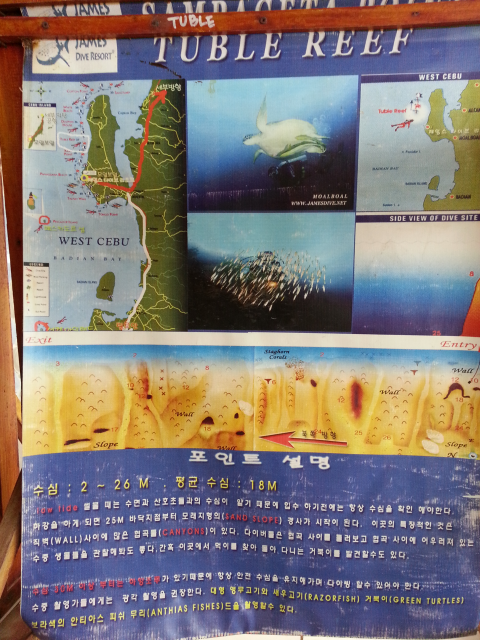 펀다이빙 - 준다이브 - 튜브레(TUBLE)