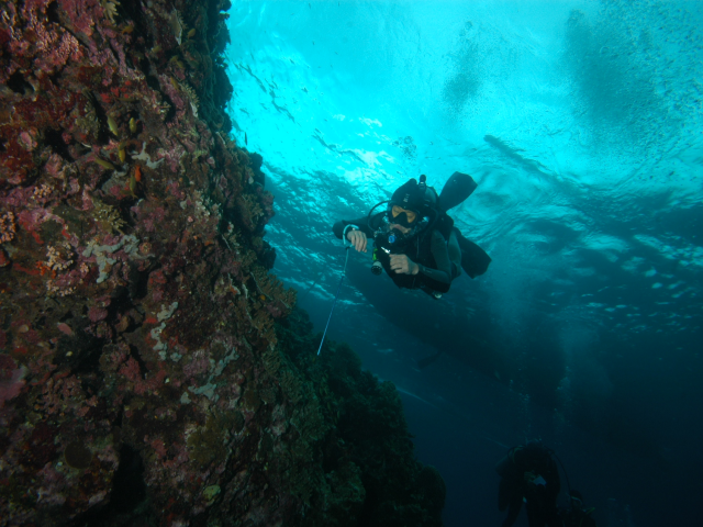 펀다이빙 - 준다이브 - 튜브레(TUBLE)