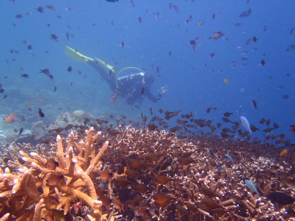 펀다이빙 - 이지다이브 리조트 - 힐룽뚜안