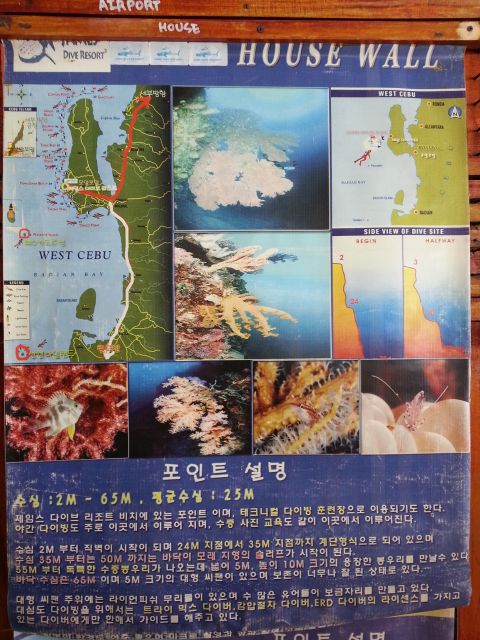 펀다이빙 - 준다이브 - 탈리사이(TALISAY)