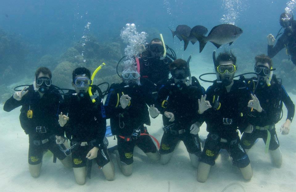 Practicing those skills below and Swimming - G.B.R in Cairns, Australia  - Plate Tops, Norman Reef