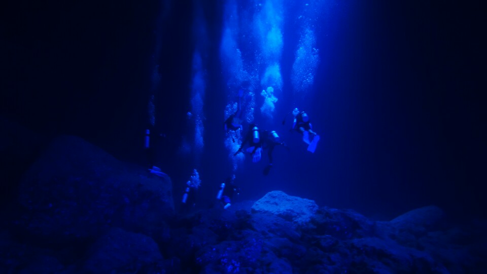 사이판 - 스판라이트