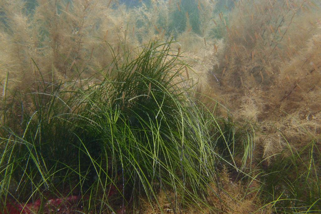 강원도 고성군 아야진 다이브리조트 - 문장대