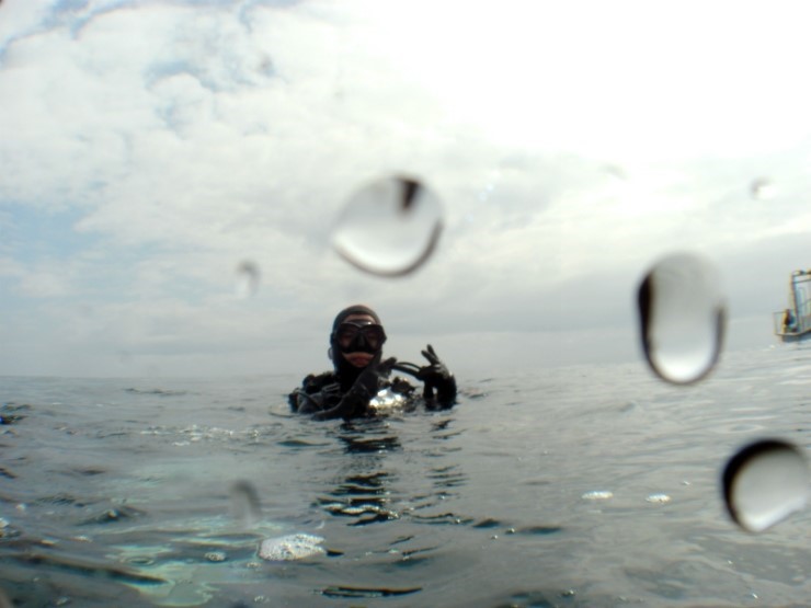 펀다이빙 - 강원도 강릉 바하마 다이브리조트 - 숨바꼭질
