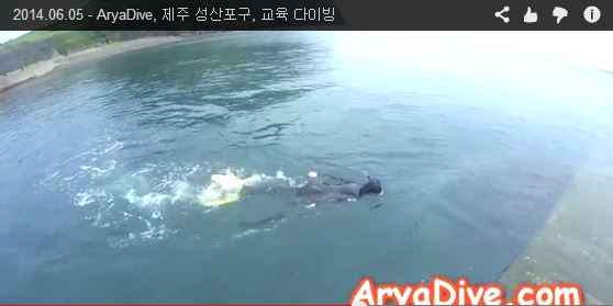 제주도 성산포구(성산스쿠버) - 비치포인트