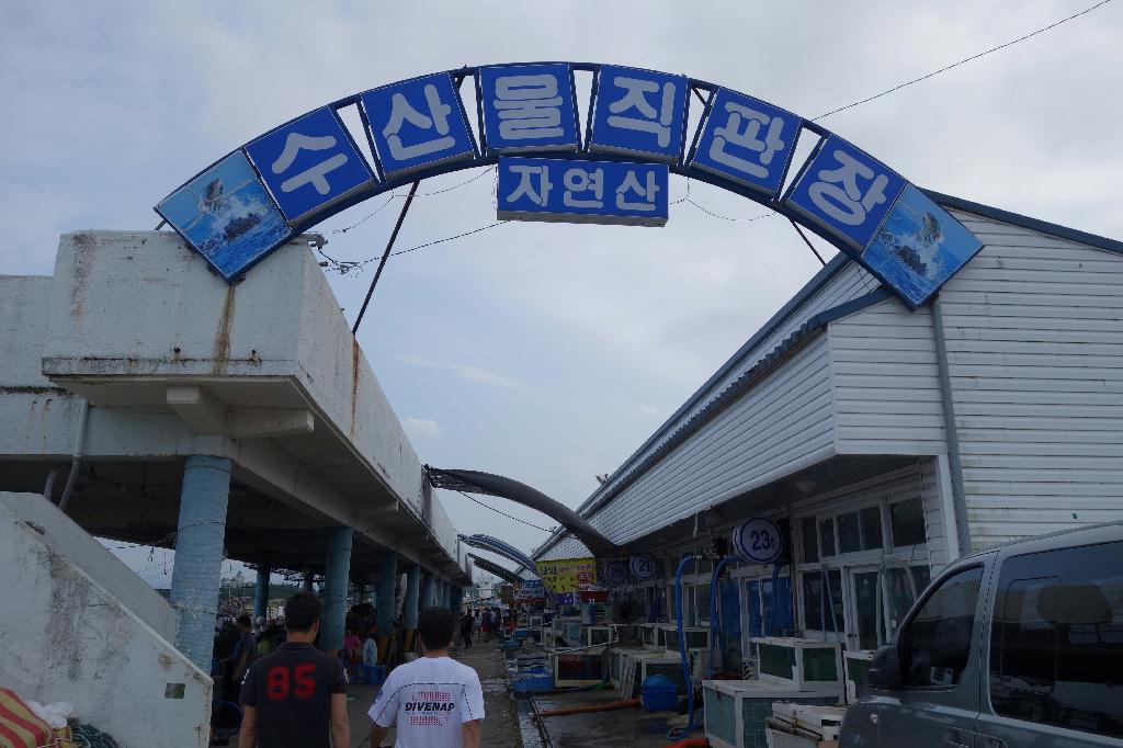펀다이빙 - 강릉 바하마 다이브 리조트 - 아가짬