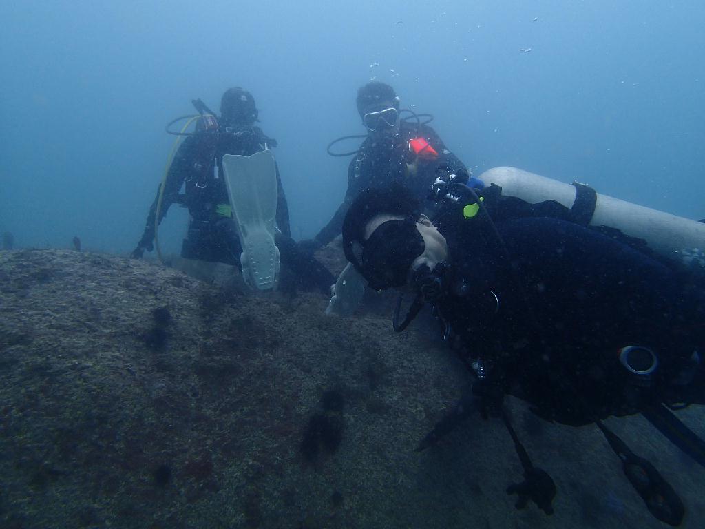 Fun Diving - 강원도 고성 청간정 리조트 - 인공어초