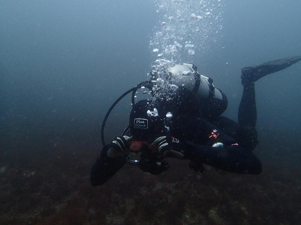 Fun Diving - 강원도 고성 청간정 리조트 - 인공어초