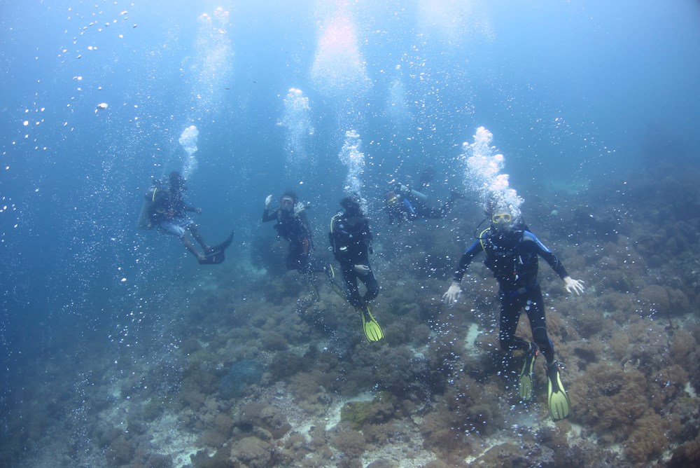 펀다이빙 - 세부 - 꼰티끼