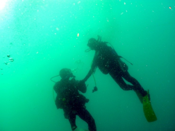 펀다이빙 - 경포다이브리조트 - 해중공원