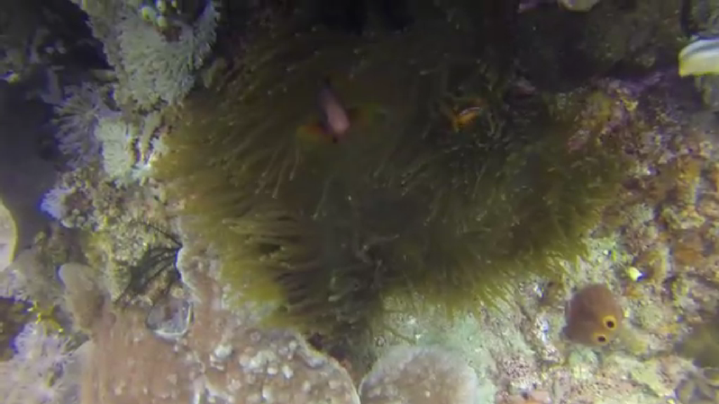 필리핀 사방 - 라라구나비치