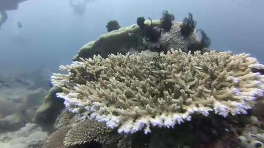 필리핀 사방 - 라라구나비치