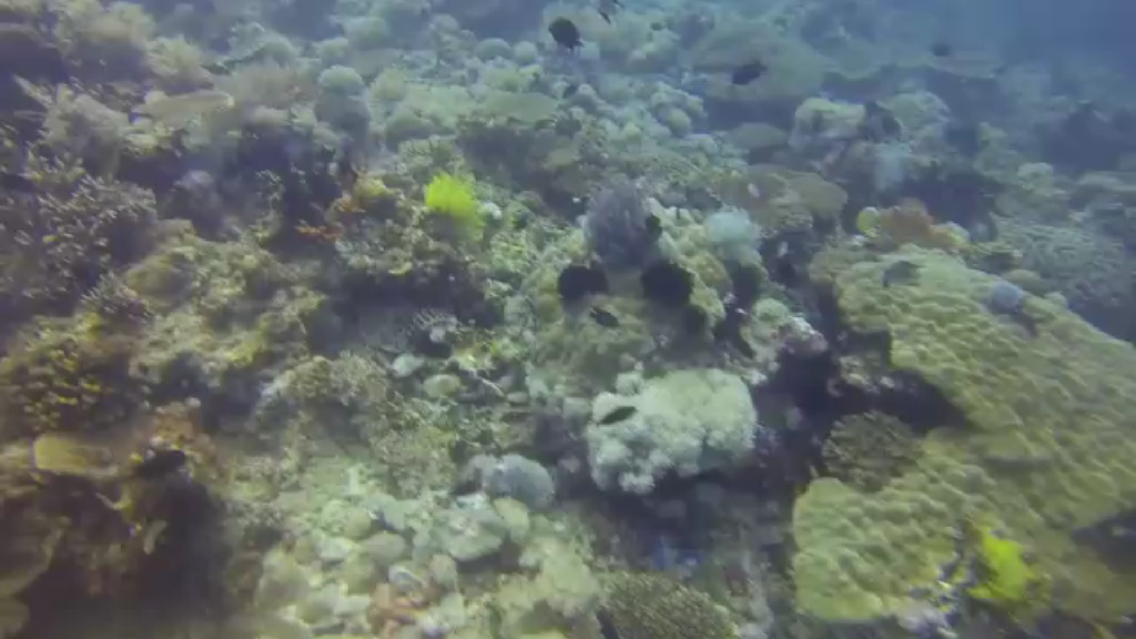 필리핀 사방 - 라라구나비치