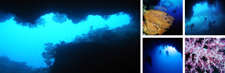체크 다이빙 포인트 - Palau - Siass Turnel