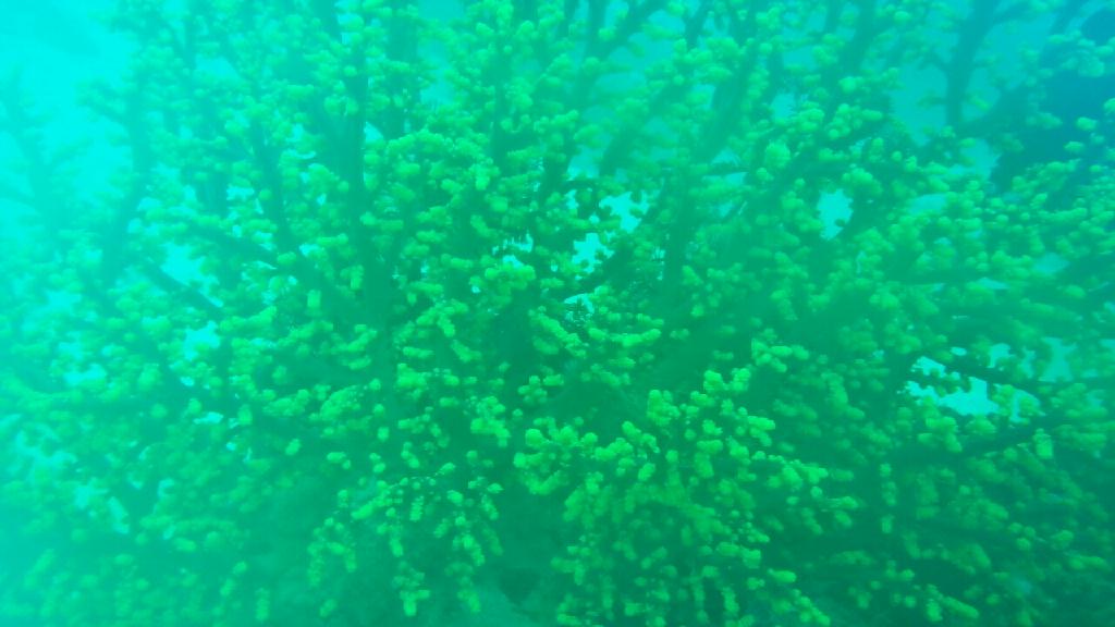 사방 - dungon wall, west escarceo, manila channel