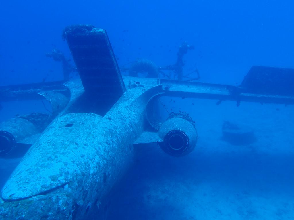 필리핀 보라카이 - Tribird