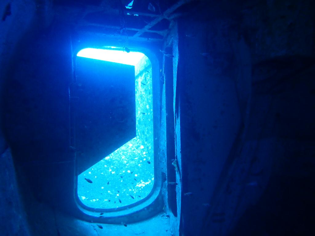 필리핀 보라카이 - Tribird