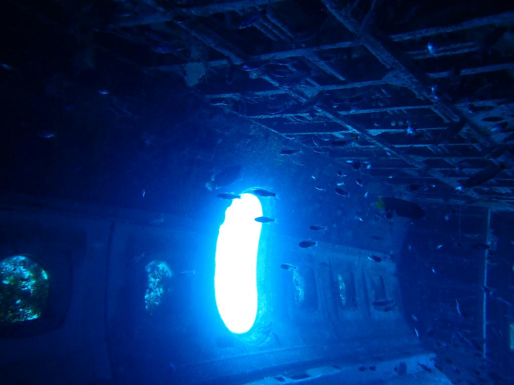 필리핀 보라카이 - Tribird