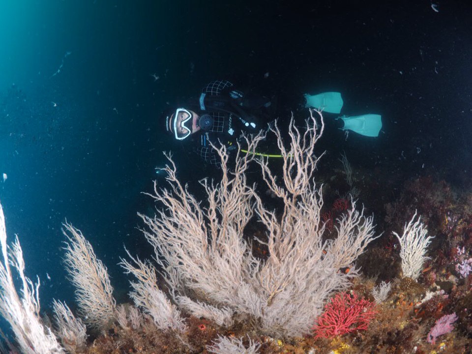 펀다이빙 - 강원도 LF문암 - 낙산대기