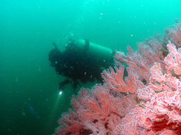 펀다이빙 - 강원도 고성 LF문암리조트 - 낙산대기