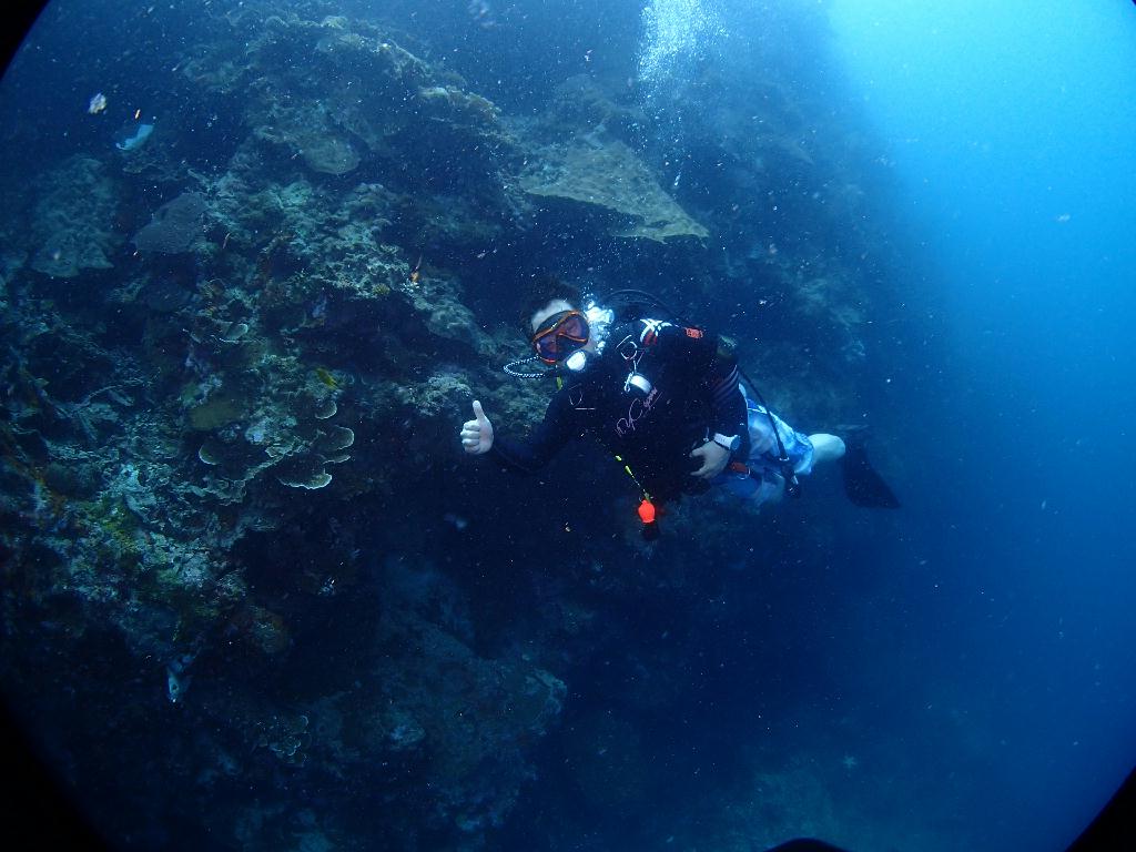 현지 마스터와 첫 펀다이빙 - 필리핀 모알보알 - Tongo Point(통고 포인트)