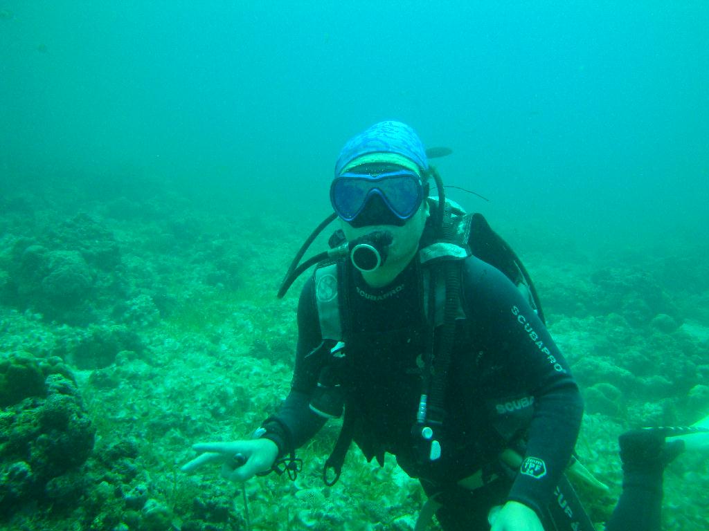 펀다이빙 및 체크다이빙 - 필리핀 막탄 J다이브 - 막탄 앞바다