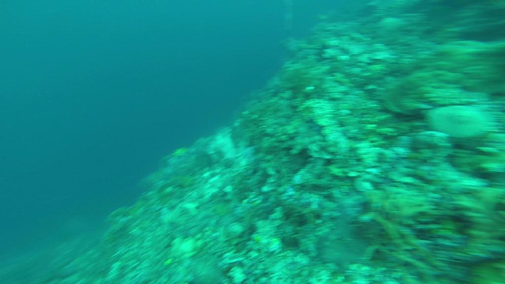 펀다이빙 및 체크다이빙 - 필리핀 막탄 J다이브 - 막탄 앞바다