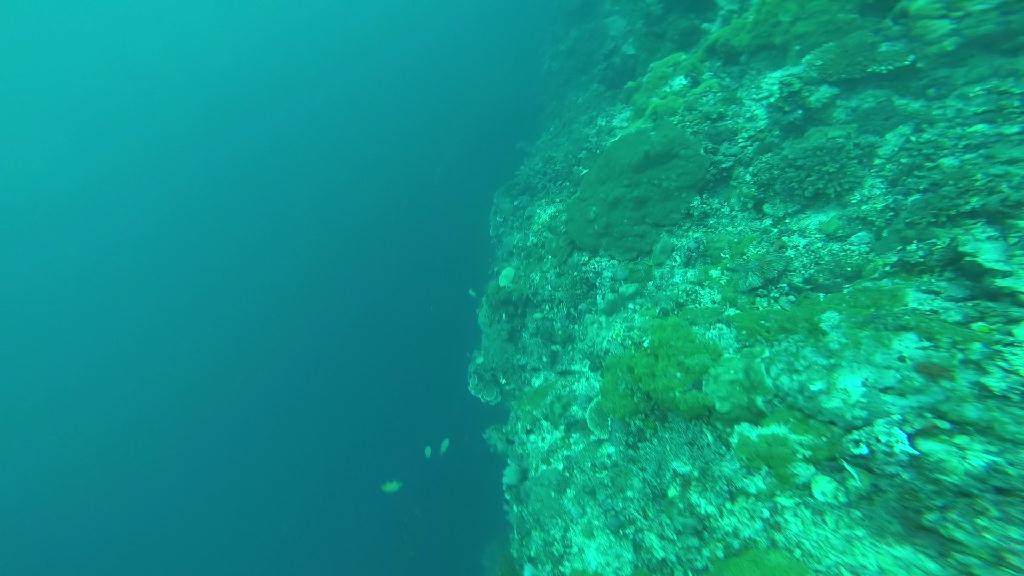 펀다이빙 및 체크다이빙 - 필리핀 막탄 J다이브 - 막탄 앞바다