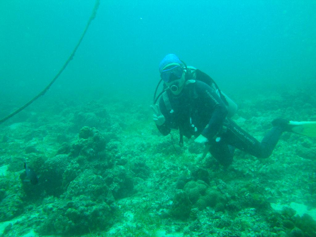 펀다이빙 및 체크다이빙 - 필리핀 막탄 J다이브 - 막탄 앞바다