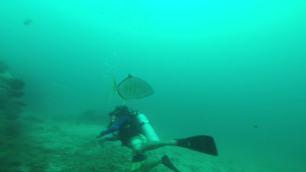 펀다이빙... - 말라파스쿠아 - 말라파스쿠아