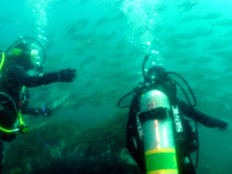 펀다이빙 - 강원도 강릉 경포다이브리조트 - PT