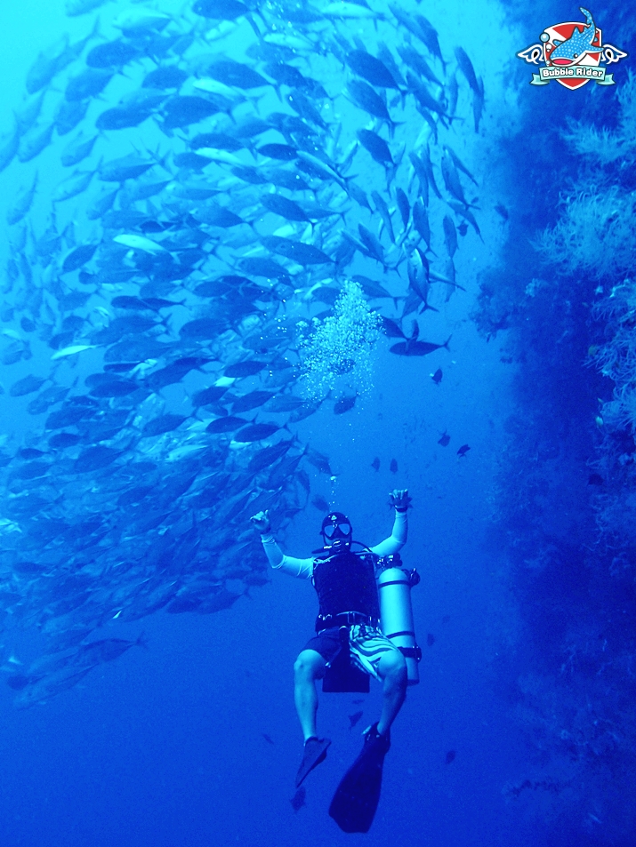 짹피쉬 무리들과 함께.. ^^ - 필리핀 보홀 발리카삭 - Black Forest