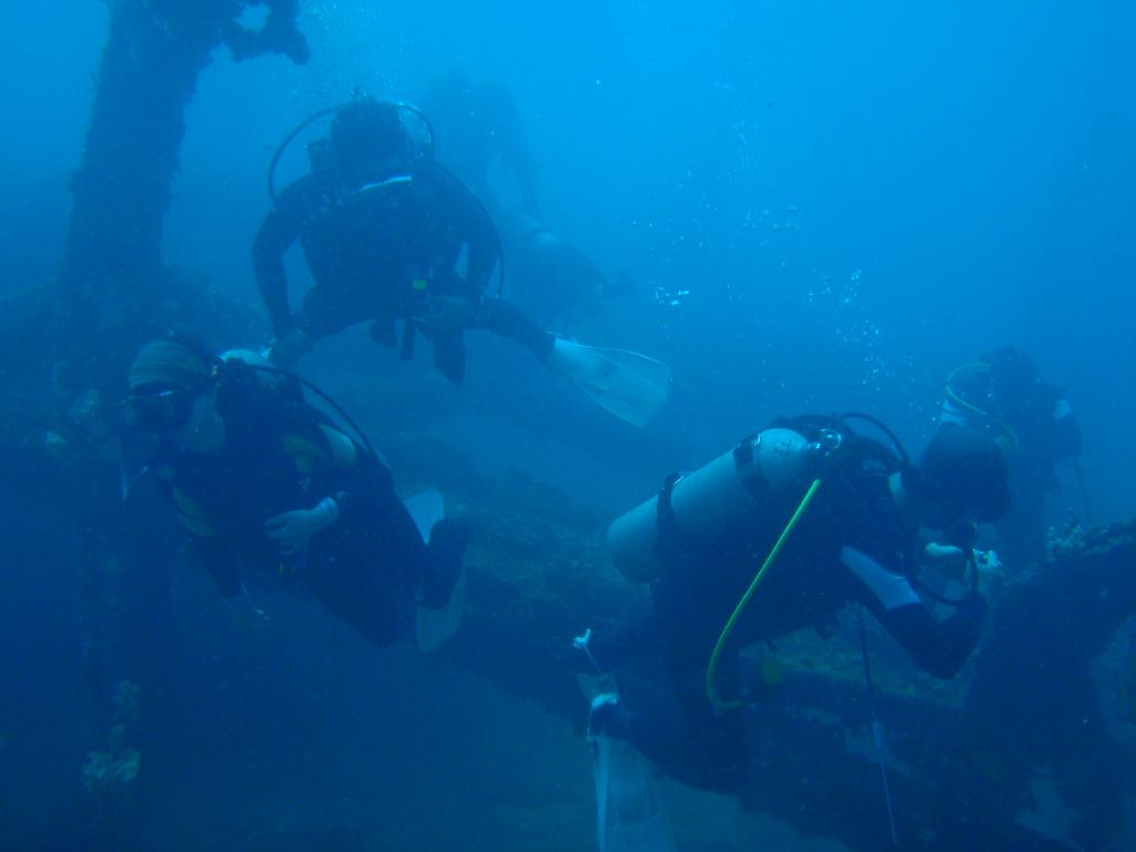 deep &  - SM Resort Anilao - phillippines - Dive&Trek