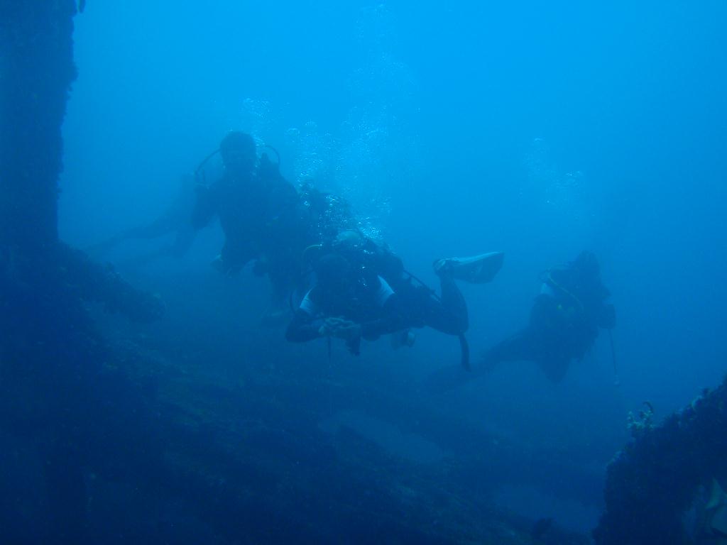 deep &  - SM Resort Anilao - phillippines - Dive&Trek