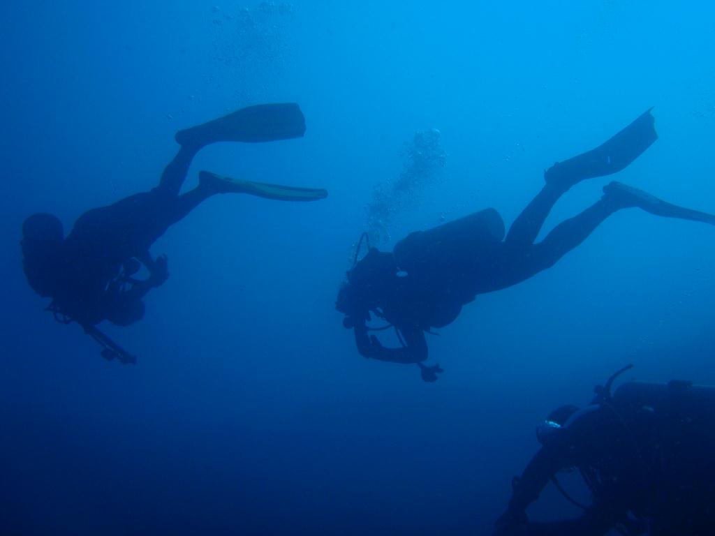 Fun dive - SM Resort Anilao - phillippines - Bthelehem