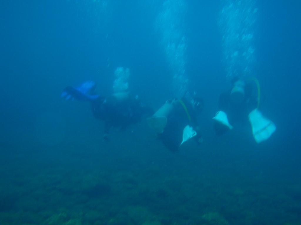 Fun dive - SM Resort Anilao - phillippines - Ligpo cave