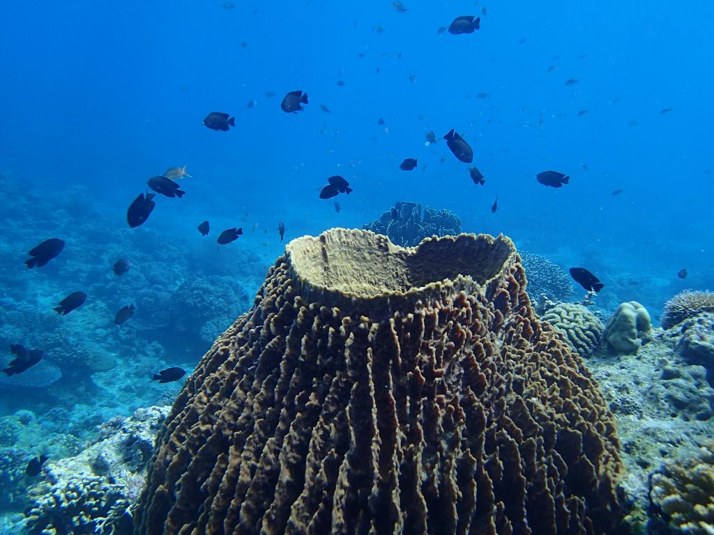 필리핀,보라카이 - ANGOL