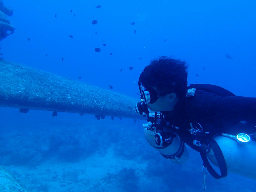 필리핀, 보라카이 - Tri Bird