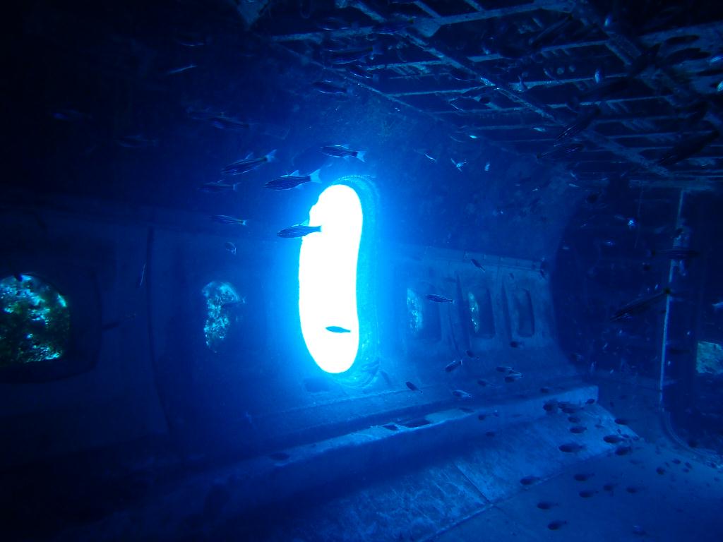 필리핀, 보라카이 - Tri Bird