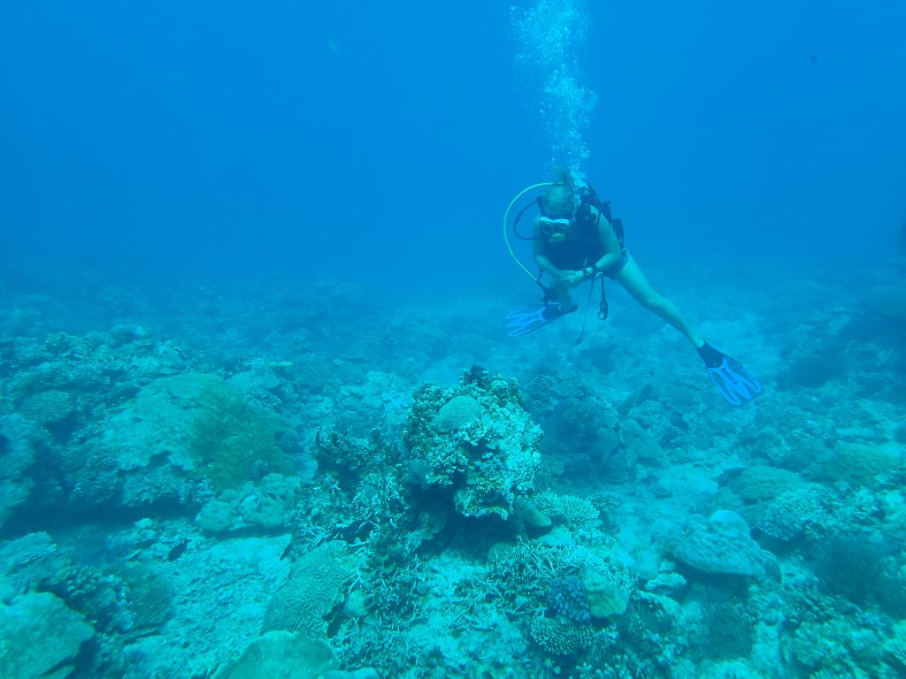 필리핀,보라카이 - ANGOL