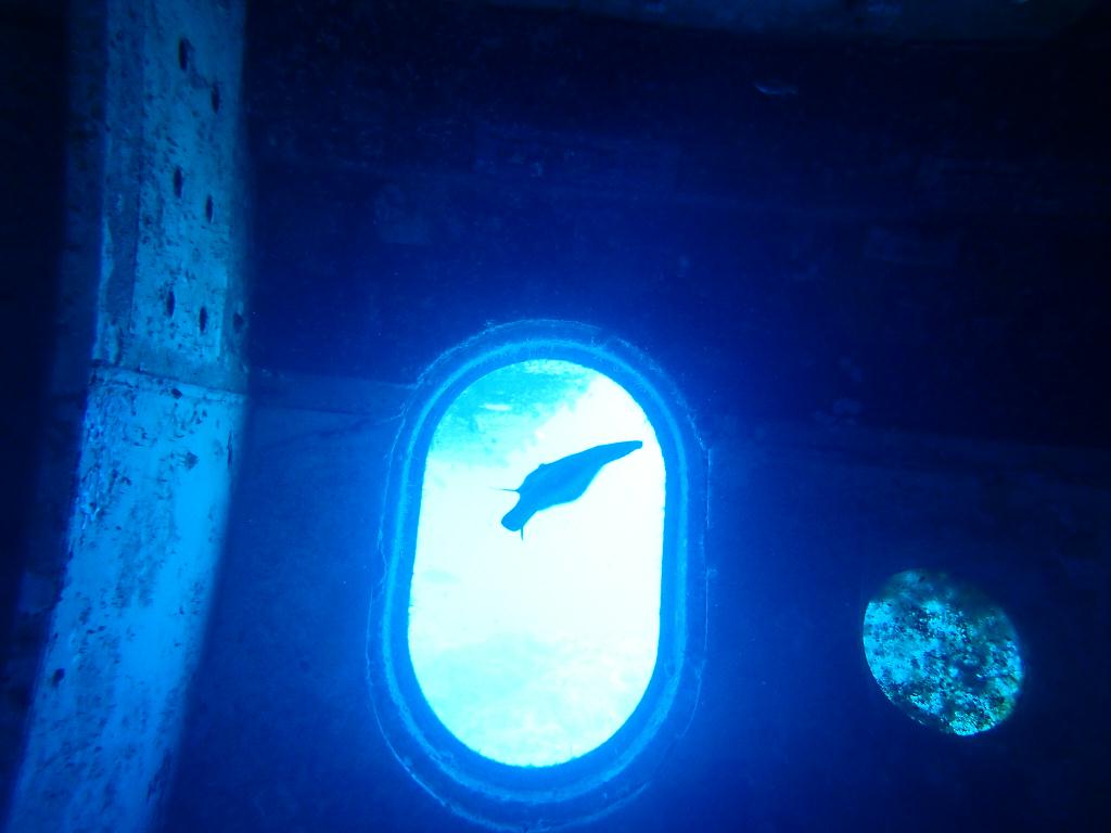 필리핀, 보라카이 - Tri Bird