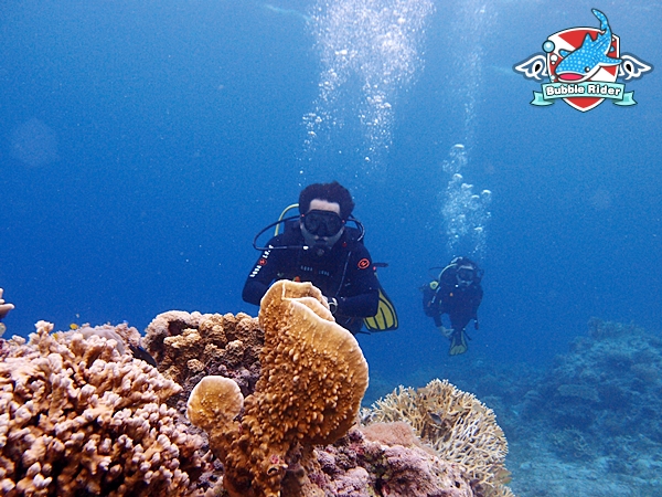 대구 처녀들과 버블라 - 보홀 필리핀 - 발리카삭