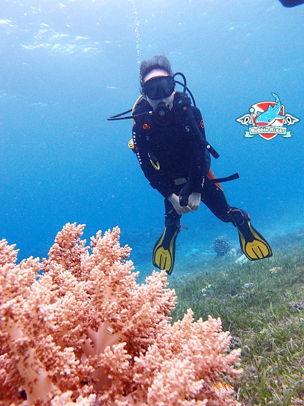 대구 처녀들과 버블라 - 보홀 필리핀 - 발리카삭