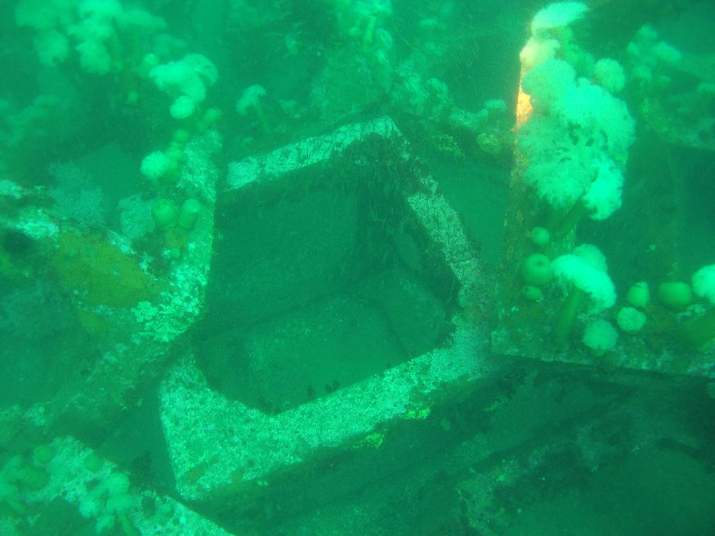 펀다이빙 인공 어초 - 고성 문암다이브리조트 - 인공어초