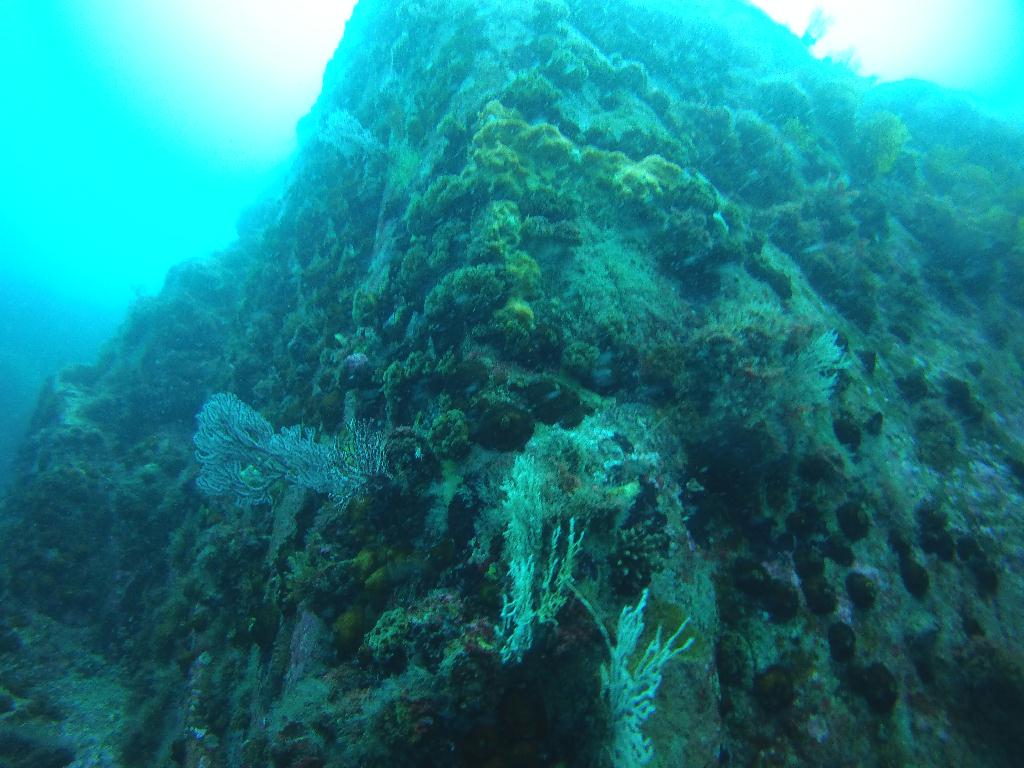 펀다이빙(나이트룩스 교육) - 고성 문암 다이브리조트 - 마이산