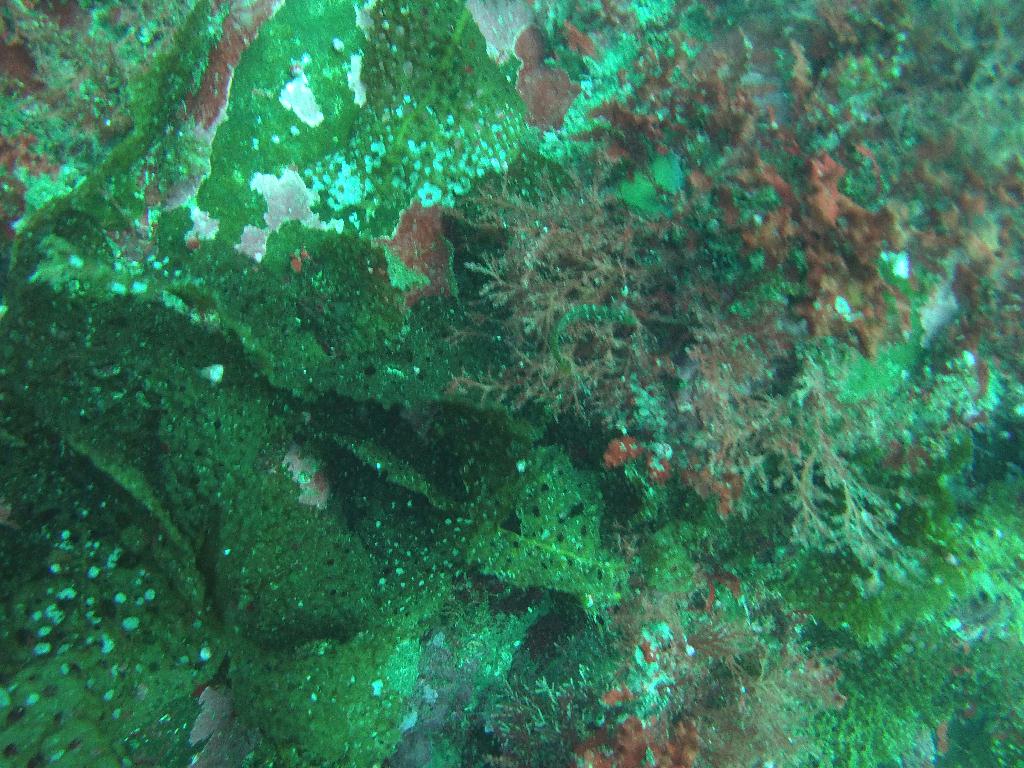 펀다이빙 - 고성 문암다이브리조트 - 금강산