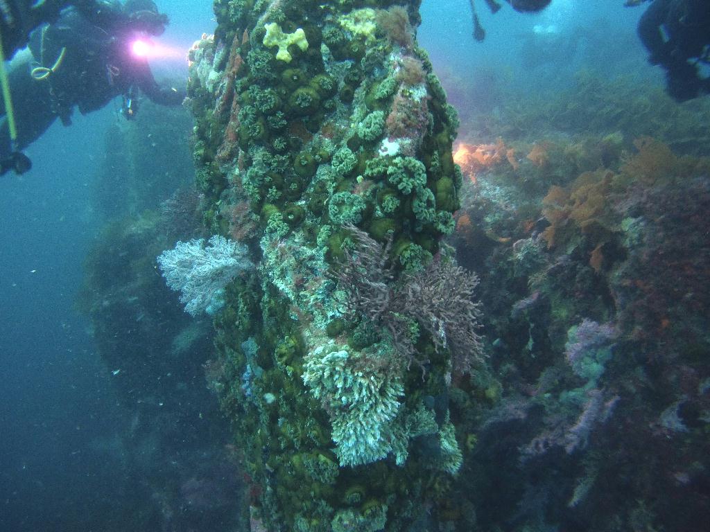 펀다이빙(나이트룩스 교육) - 고성 문암 다이브리조트 - 마이산