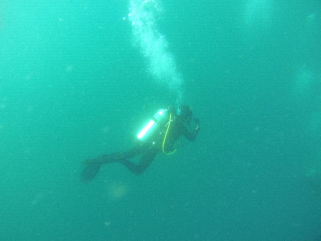 펀다이빙 인공 어초 - 고성 문암다이브리조트 - 인공어초