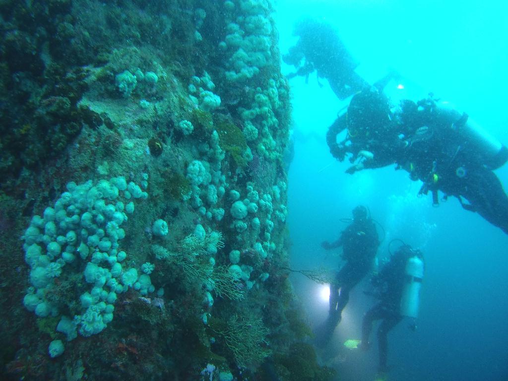 펀다이빙(나이트룩스 교육) - 고성 문암 다이브리조트 - 마이산