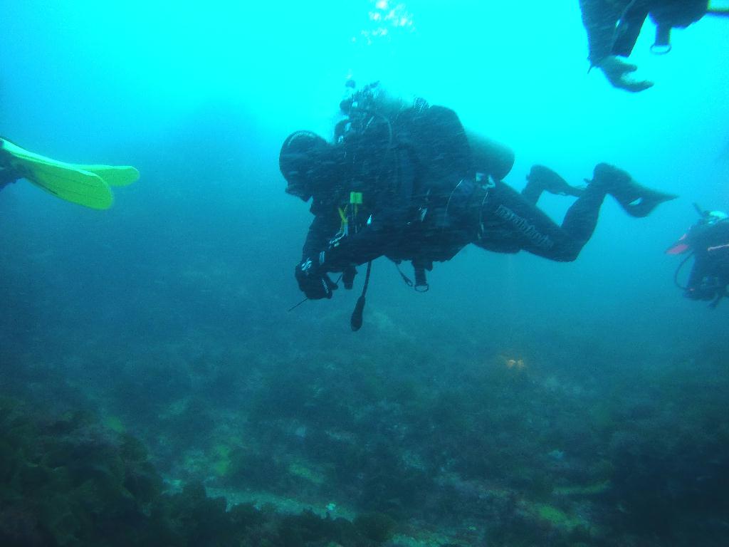 펀다이빙(나이트룩스 교육) - 고성 문암 다이브리조트 - 마이산